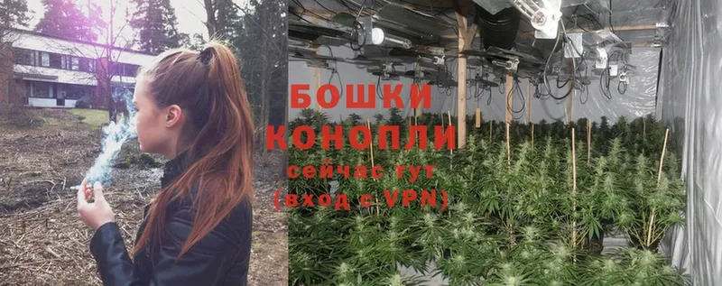 МАРИХУАНА OG Kush  сайты даркнета клад  Пошехонье 